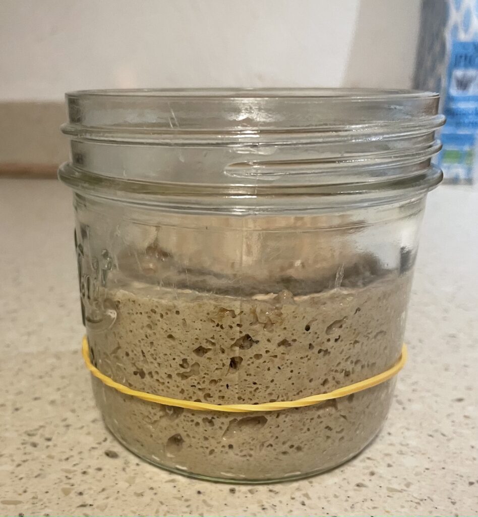 Levain liquide de seigle pour faire toute sorte de pains maison